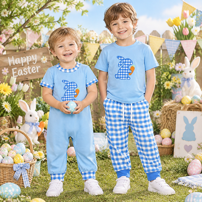 Sibling Baby Boys Kids Short Sleeves Embroidery Rabbits Carrots Romper Set Blue Clothes